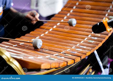 Xylophone Rhapsody: A Symphony of Thai Folk Traditions and Urban Reflections